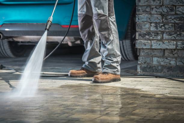 Best Sidewalk and Walkway Cleaning  in , NV